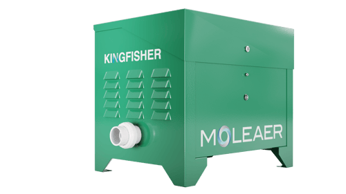 Kingfisher Left_45-1