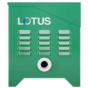 Lotus Back-2