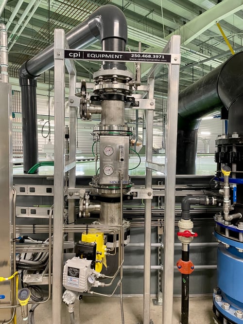 Trinity nanobubble generator in aquaculture