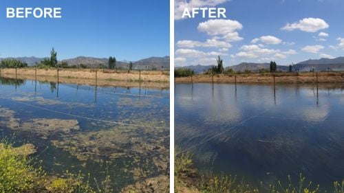 Before and After of lake when treated with nanobubbles