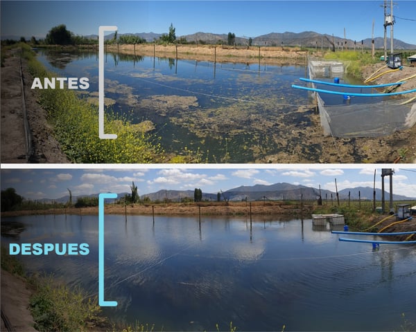 Antes y Despues Embalse de Riego Artboard 21 - Light Blue-100