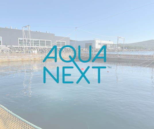 AquaNext | Stavanger, Noruega