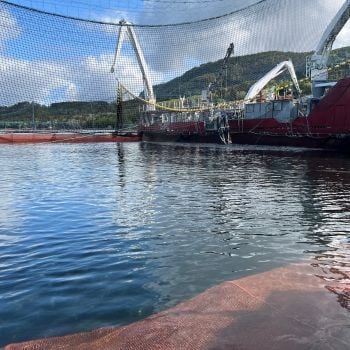 Aquaculture Fish Farming