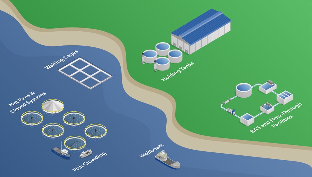Aquaculture Flowchart V7-01 (1)