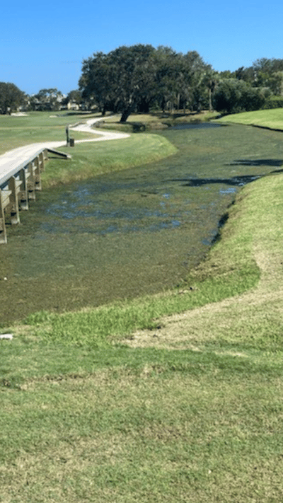 Before - Lake Kingfisher