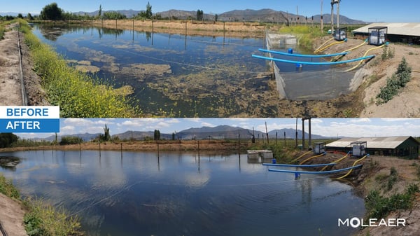 Before and After Reservoir - Avocado Crops in Chile
