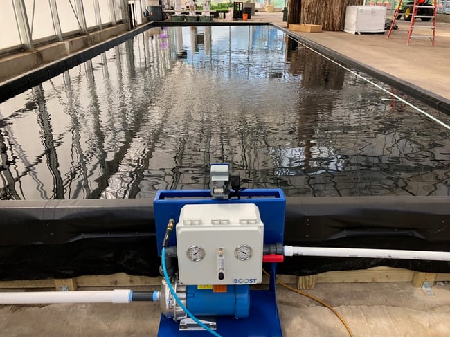 Big Tex Farms - Boost