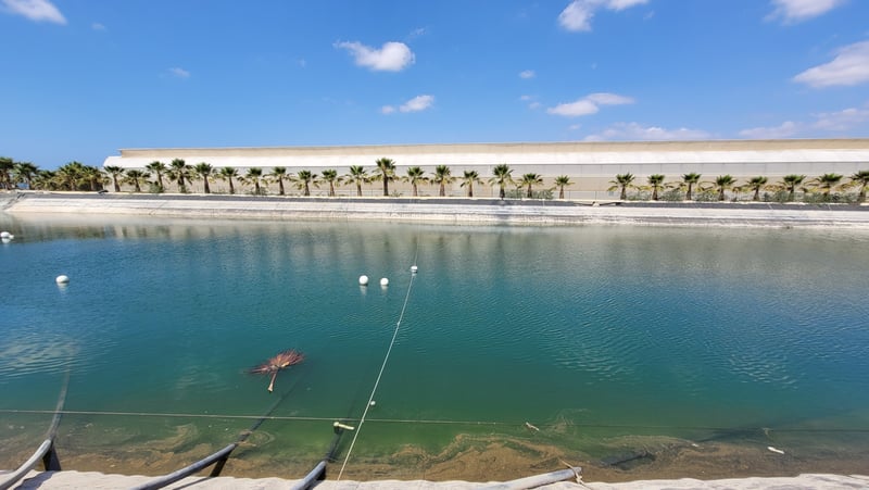 Bio Sabor Nature07142021_0022