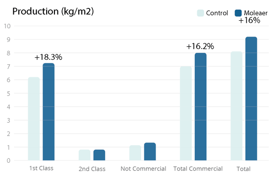 Biosabor Cucumber - Fruit Production by Class Graph