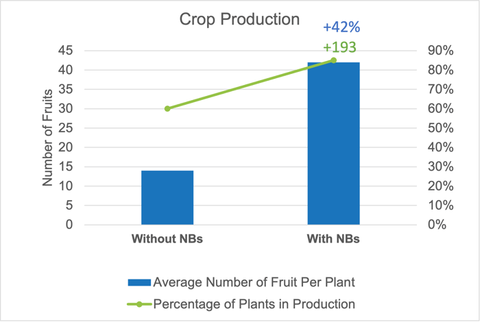 Crop Production of Avocados