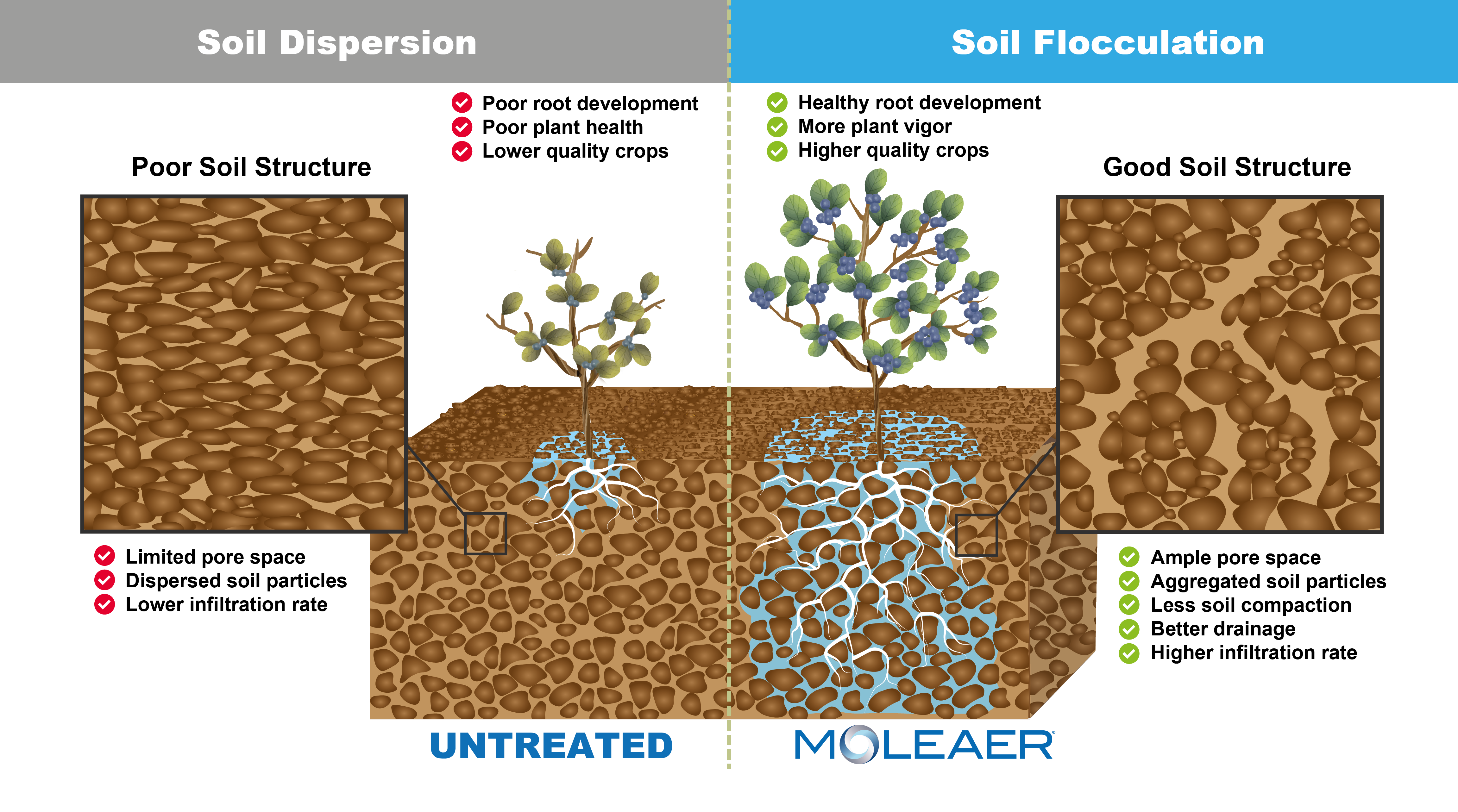 Soil Floculation vs Soil Dispersion - nanobubbles for soil health