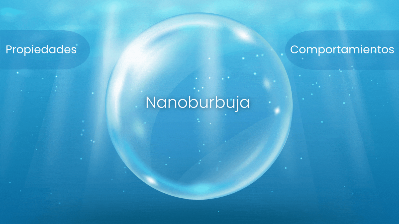Esp_Nanobubbles Properties
