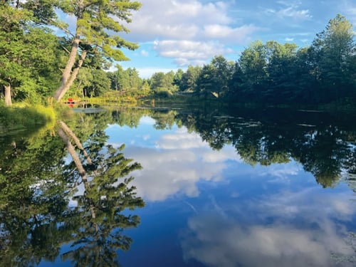 Algae control at Private Trout Pond using nanobubbles