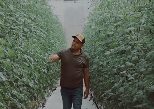 Frutos Jalisco Grower