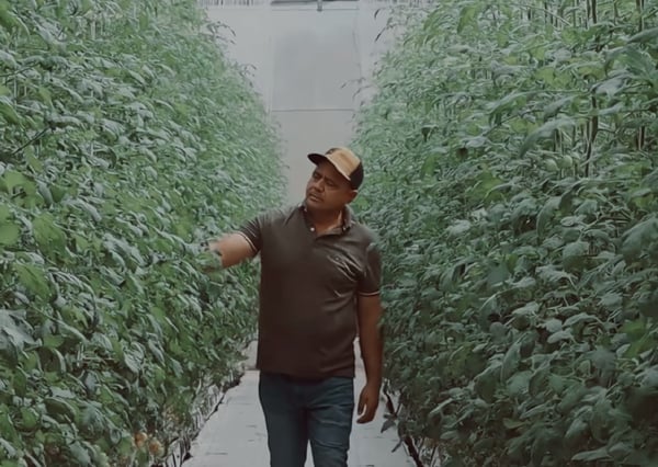 Frutos Jalisco Grower