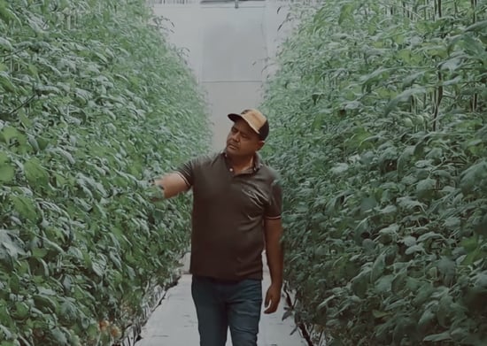 Frutos Jalisco Grower