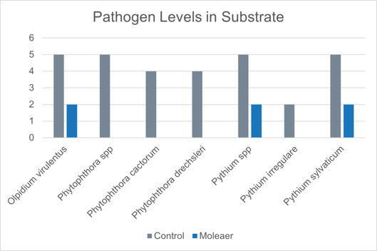 Graph Pathogens Strawberries