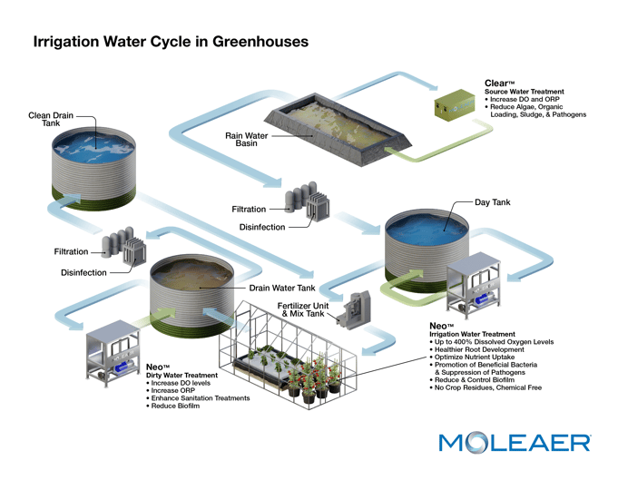 Horticulture_Greenhouse_Flowchart_3D_Illustration - Updated Logo