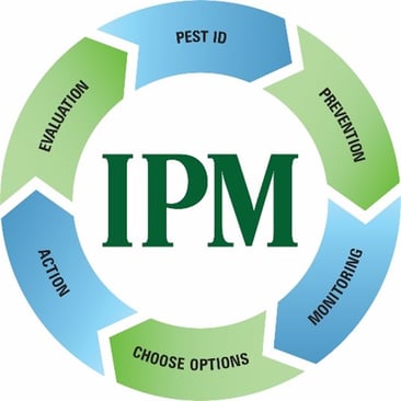IPM Graphic