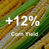 Increase Corn Yield