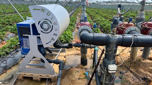 Indalo inline crops-1