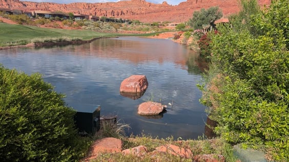 Kingfisher UT
