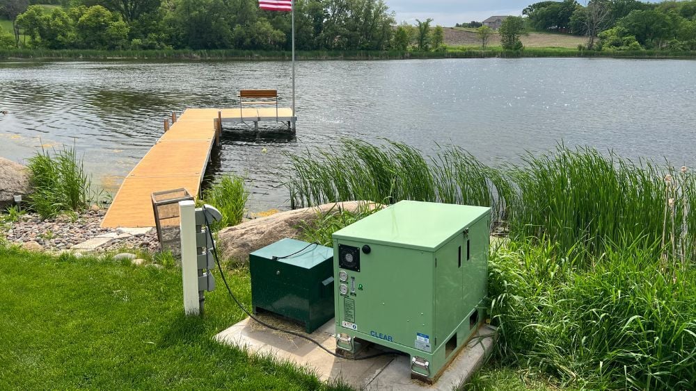 Kingfisher with Clear in Lake
