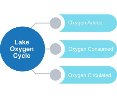 Lake Oxygen Cycle