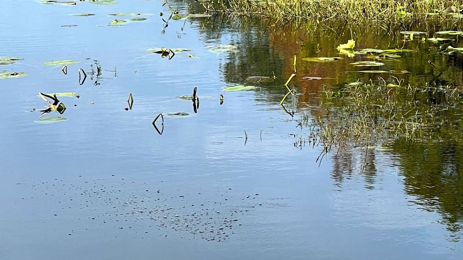 Lake Theresa