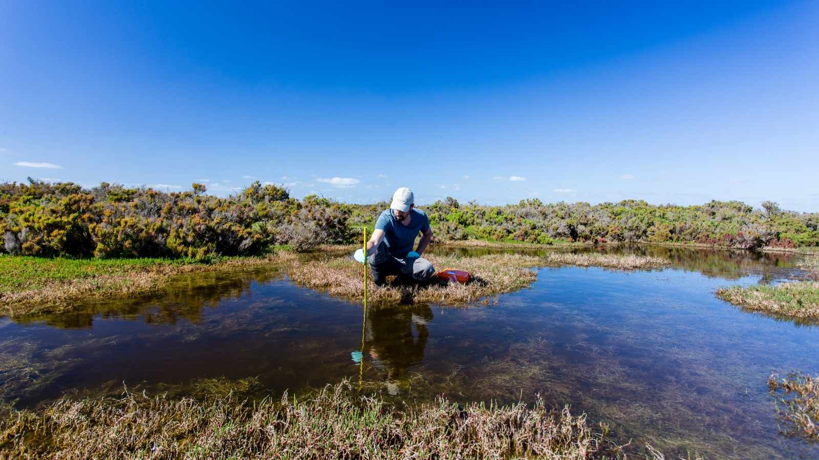 Mediciones de la calidad del agua en un lago