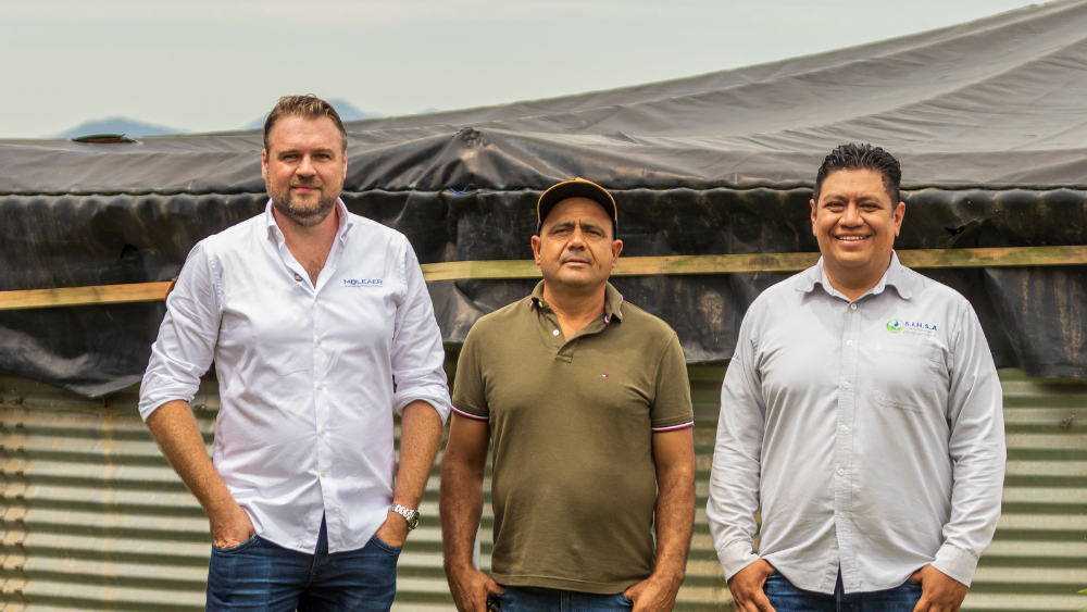 Mexico grower and partner