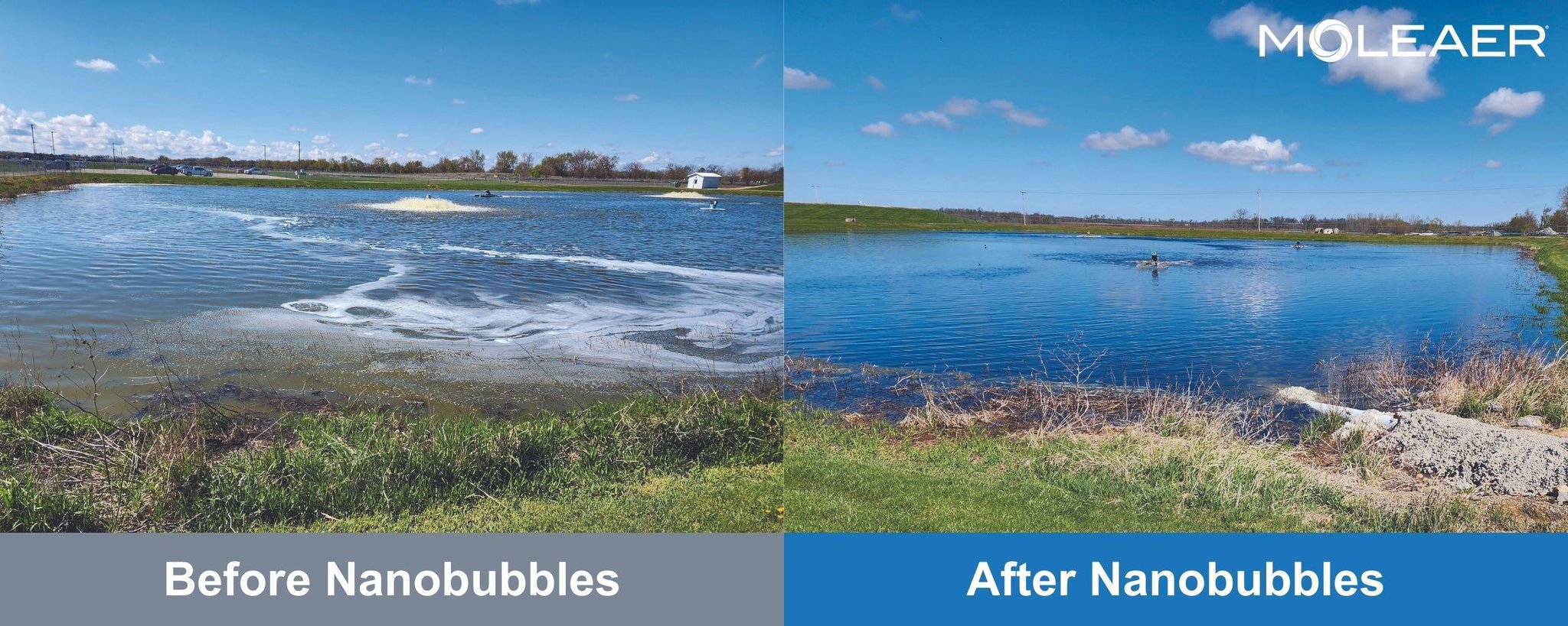 Miller Poultry Before and After