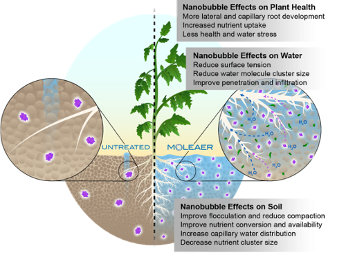 Moleaer Soil Graphic 