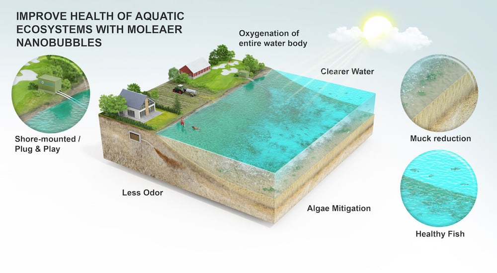 3D model of Improve Health of Aquatic Ecosystems with Moleaer Nanobubbles