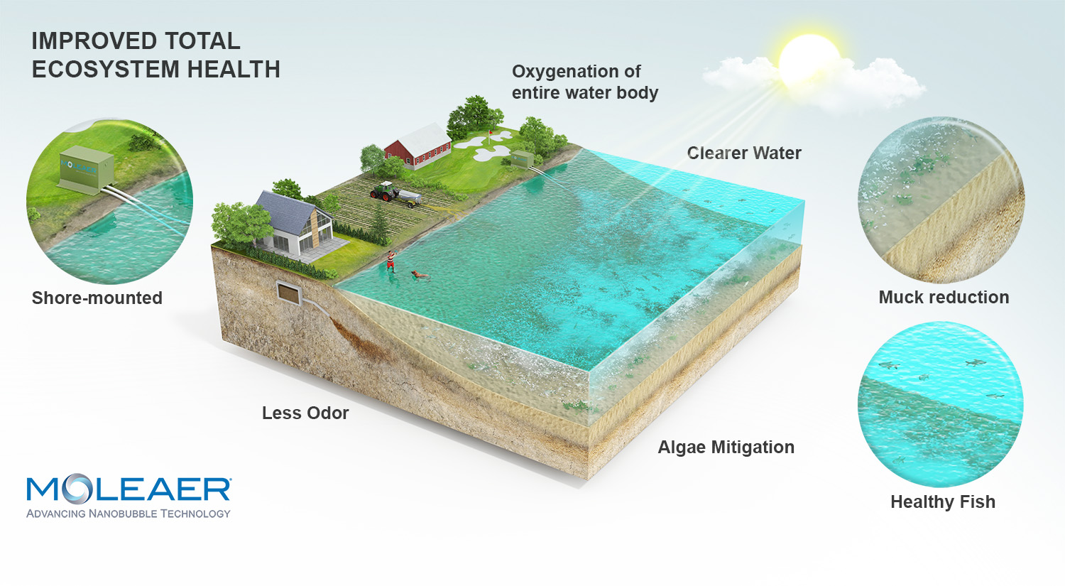 Moleaer nanobubbles improve lake health