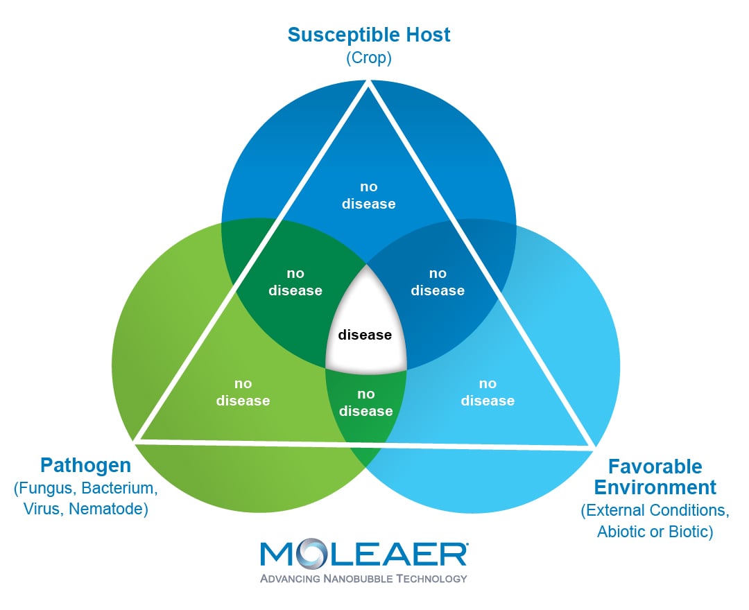 Root Disease Triangle for Horticulture