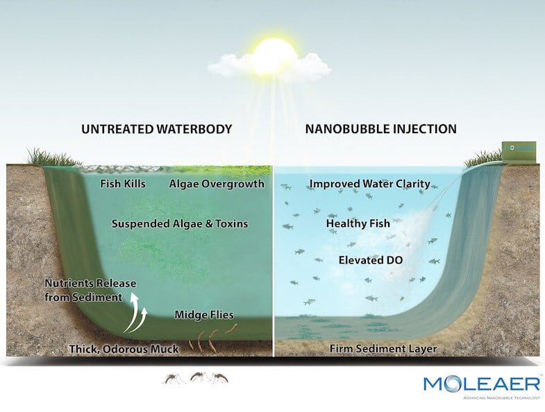 Sidebyside model of untreated waterbody and nanobubble injection