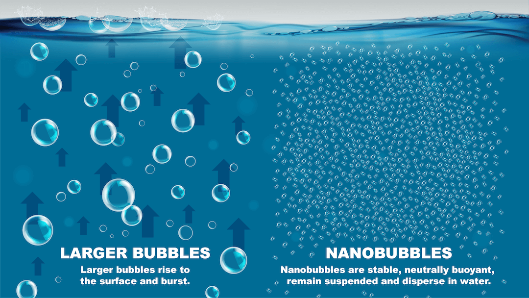 Moleaer_Nanobubble_Motion_Graphic_Final (1)