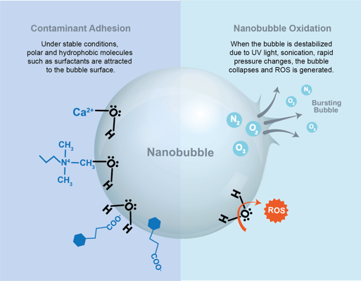 Nanobubble Adhesion Oxidation Graphic