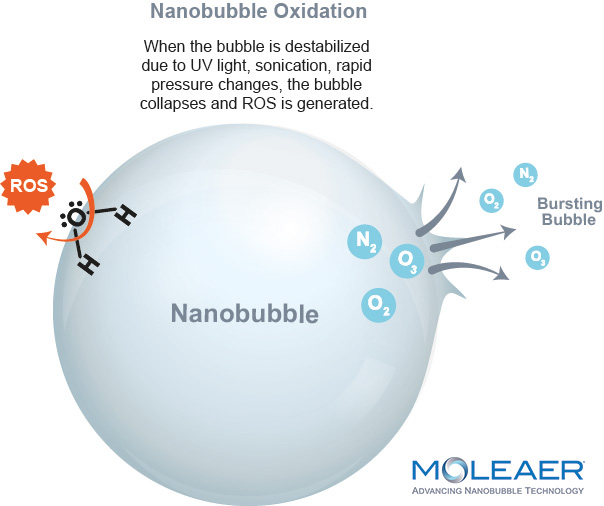 Nanobubble oxidation destroys and prevents pathogens without chemicals