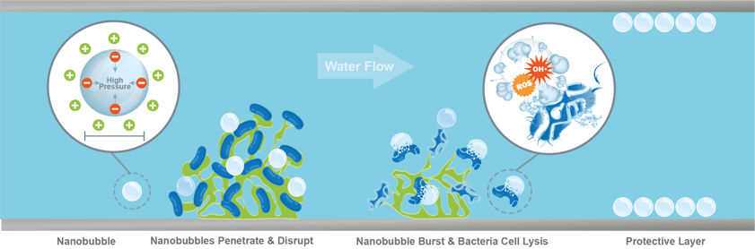 NBs Control Biofilm