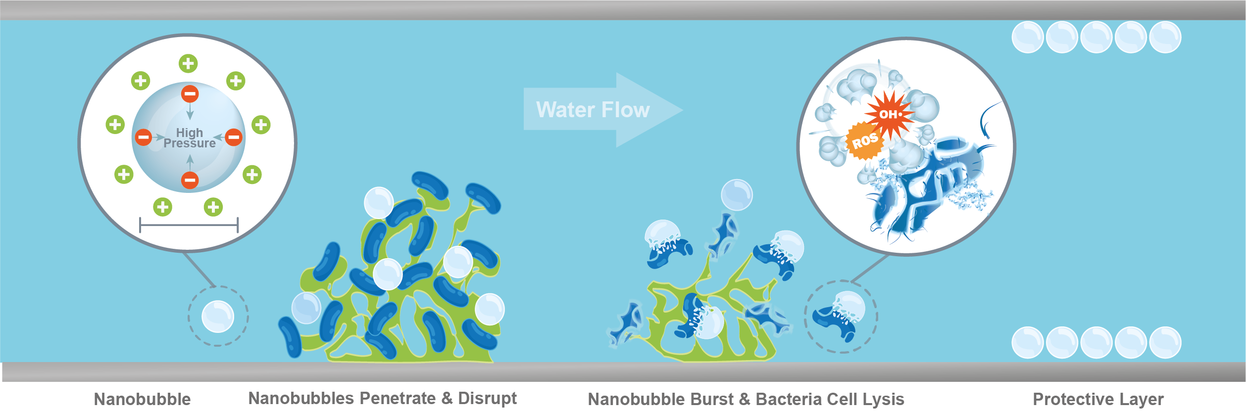 NBs Control Biofilm