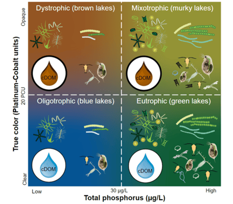 Lake trophic graphic from USGS