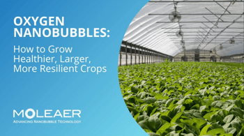 Nanobubble Horticulture Video