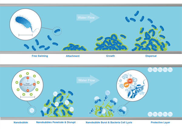 Nanobubbles Biofilm Removal