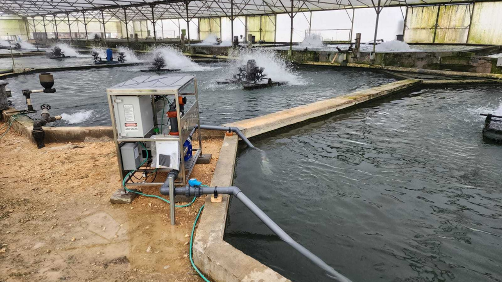 Neo B Aquaculture