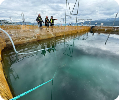 Norway team at netpen