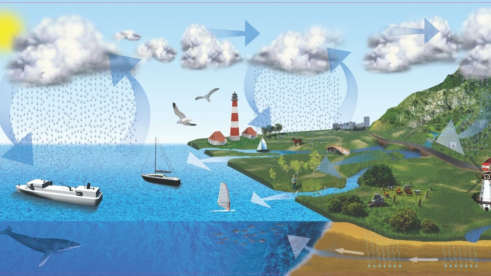 One Water Cycle