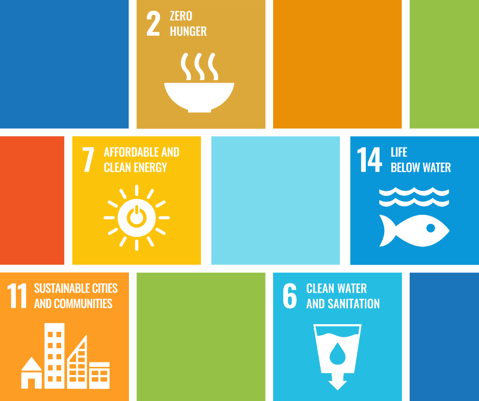 SDG Goals