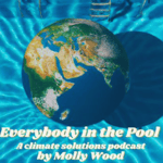 Moleaer CEO Nick Dyner on Everybody in the Pool Podcast, Molly Wood